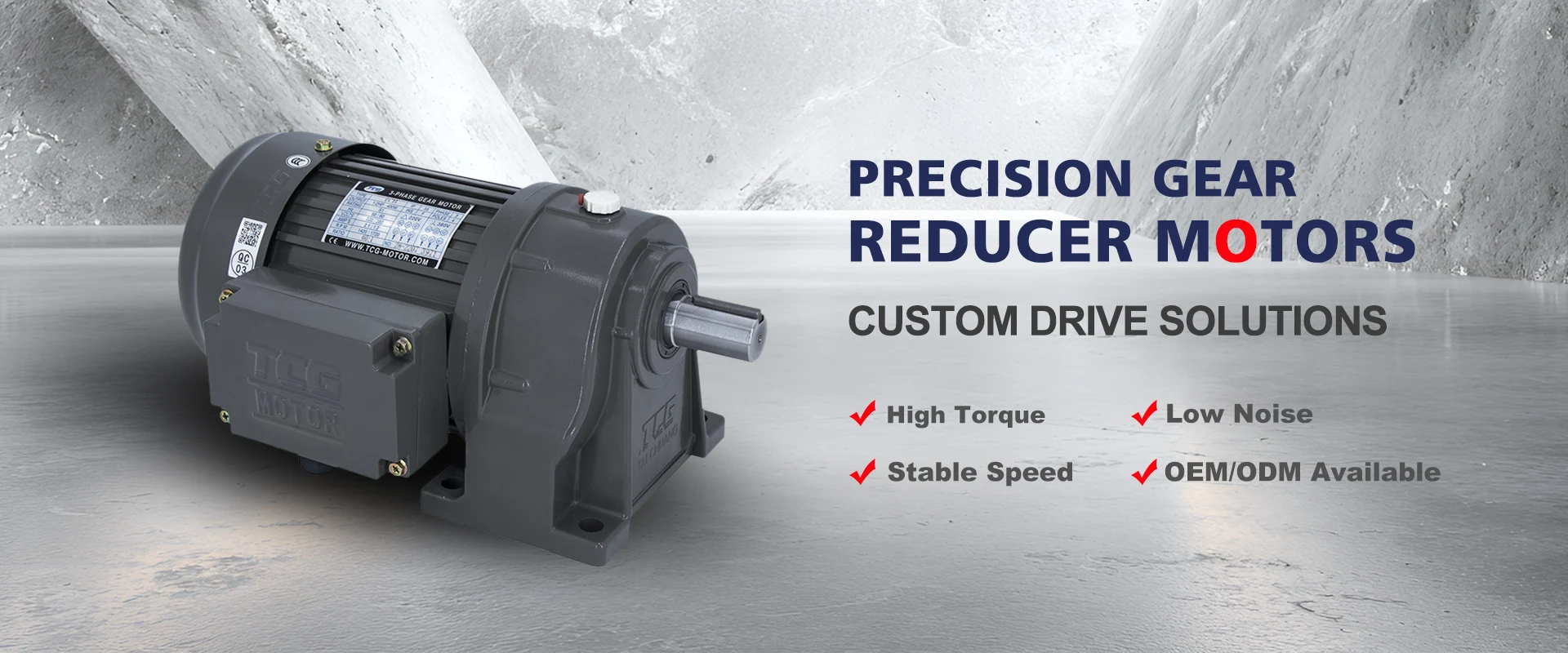 China Gear Motor Factory