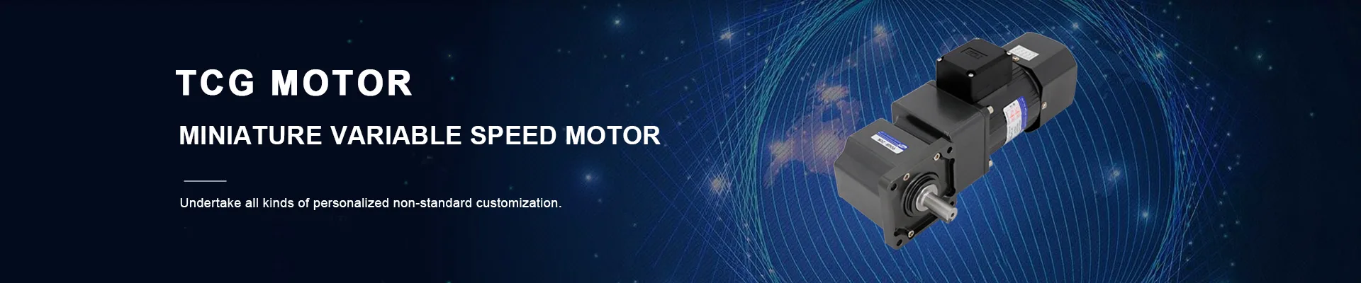 Miniature Variable Speed Motor