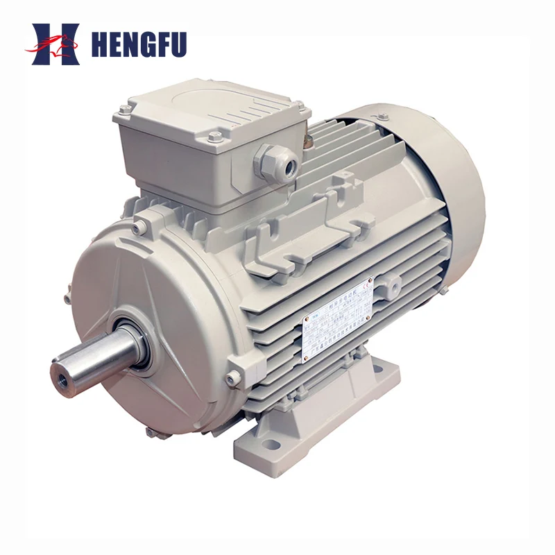 High Efficiency Motor B3 Foot Mounted