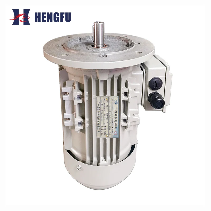 High Efficiency Motor B5 Flange Mounted