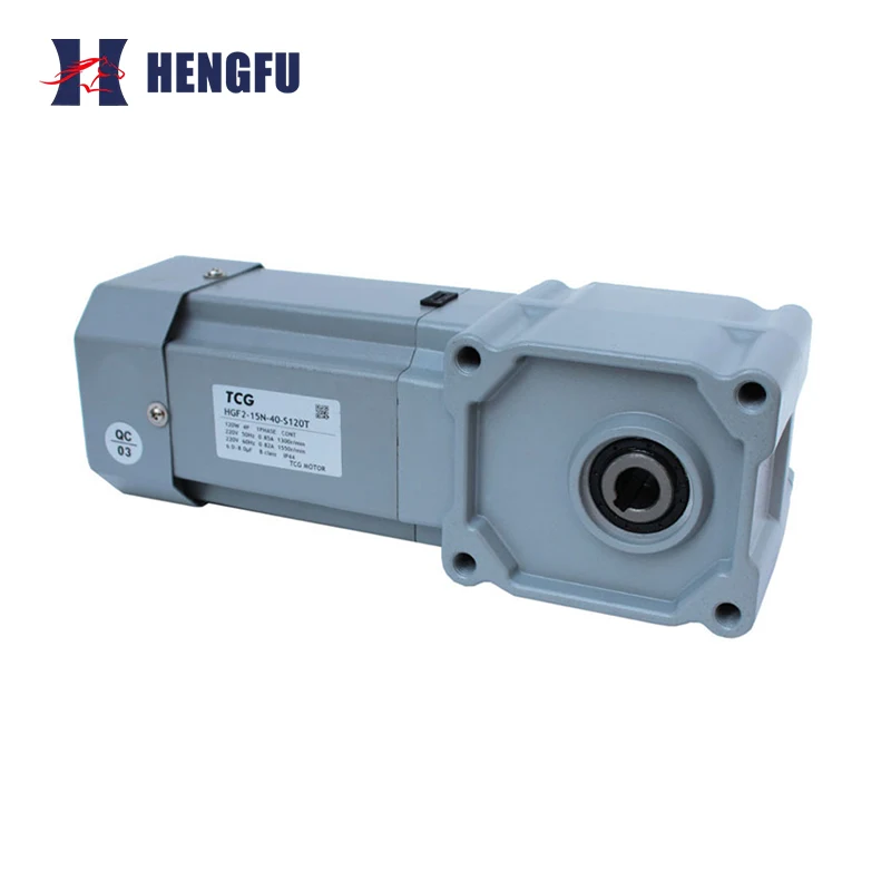 Hollow Shaft Right-Angle Gear Motor