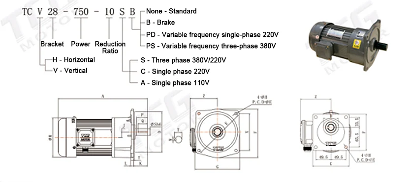 TCV Vertical Gear Motor