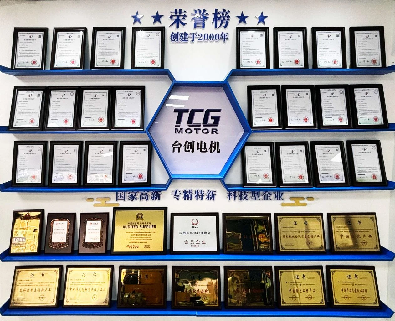 TCV Vertical Gear Motor