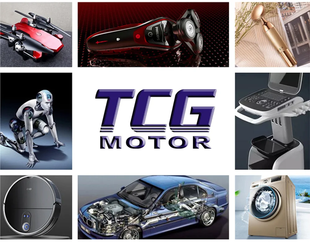Miniature Variable Speed Motor Applications