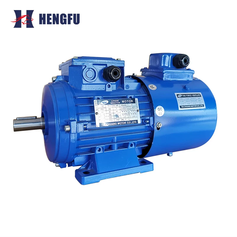 Inverter Duty Aluminum Motor