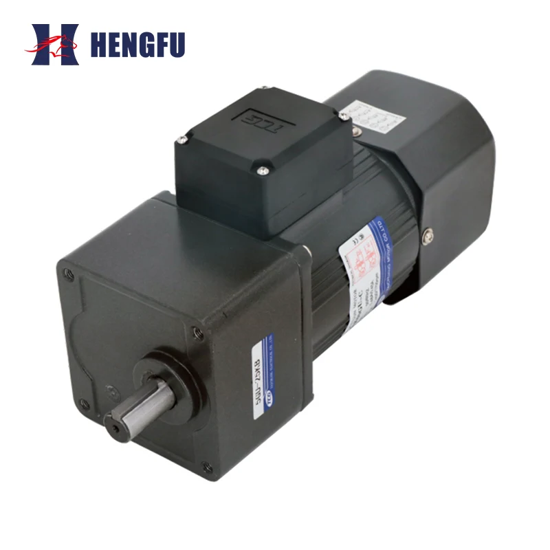 Square Flange Micro Gear Motor