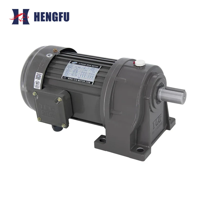 TCH Horizontal Gear Motor