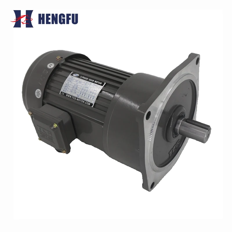TCV Vertical Gear Motor