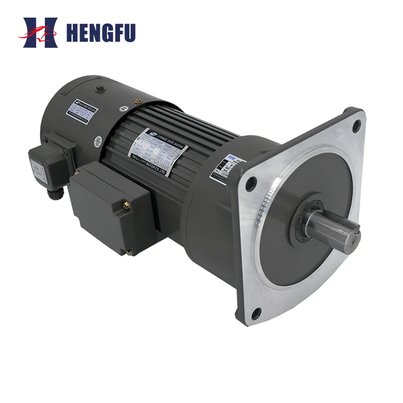 TCV Vertical Inverter Duty Brake Gear Motor